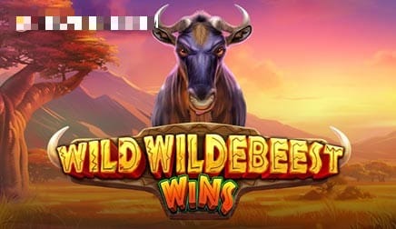 Wild Wildebeest Wins